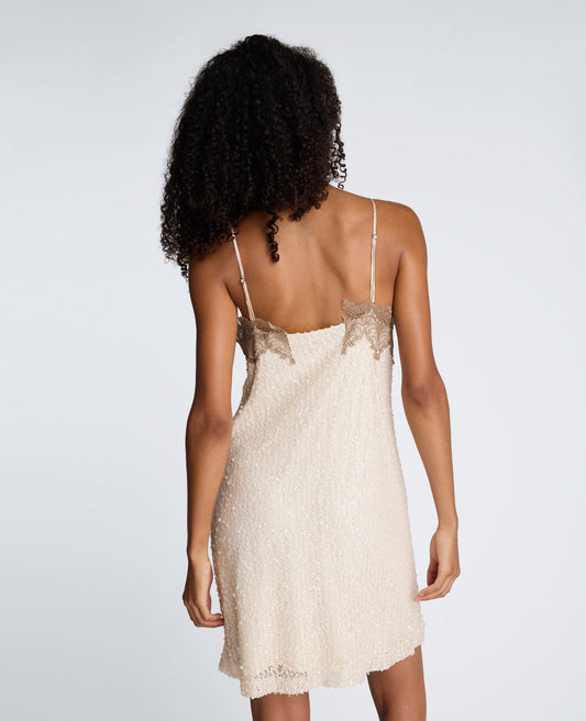 Sequin Netting Slip Dress with Lace Trim