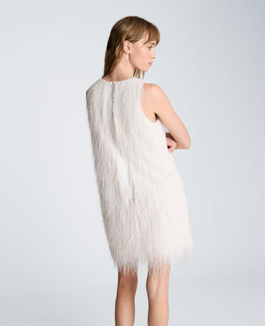 Fringed Mini Dress
