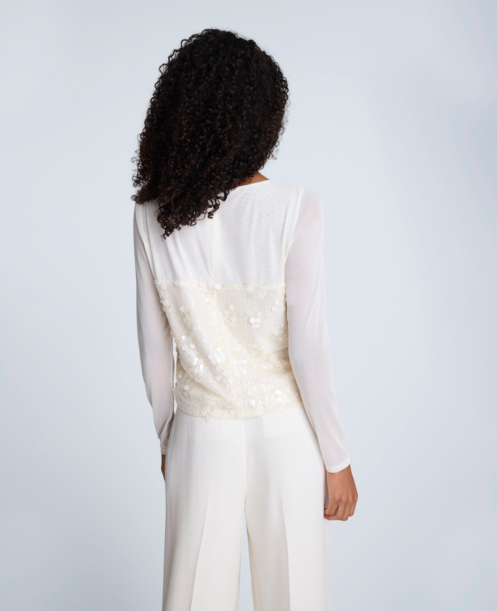 Sequin Mesh Long Sleeve Top