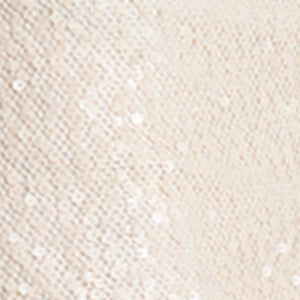 Sequin Netting Slip Dress with Lace Trim