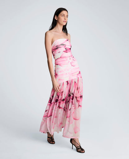 Printed Mesh Strapless Maxi Dress