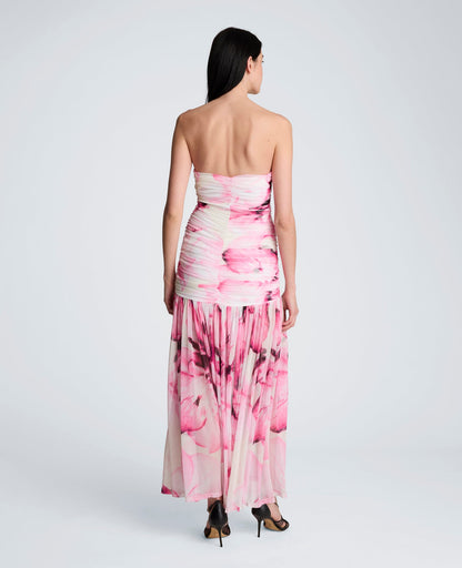Printed Mesh Strapless Maxi Dress