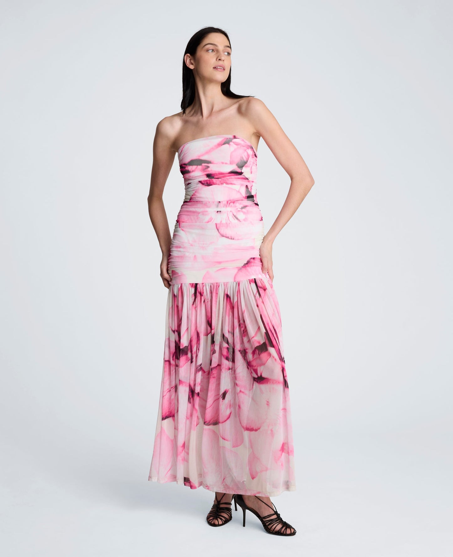 Printed Mesh Strapless Maxi Dress