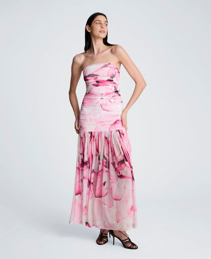 Printed Mesh Strapless Maxi Dress