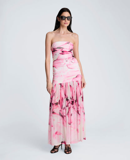 Printed Mesh Strapless Maxi Dress