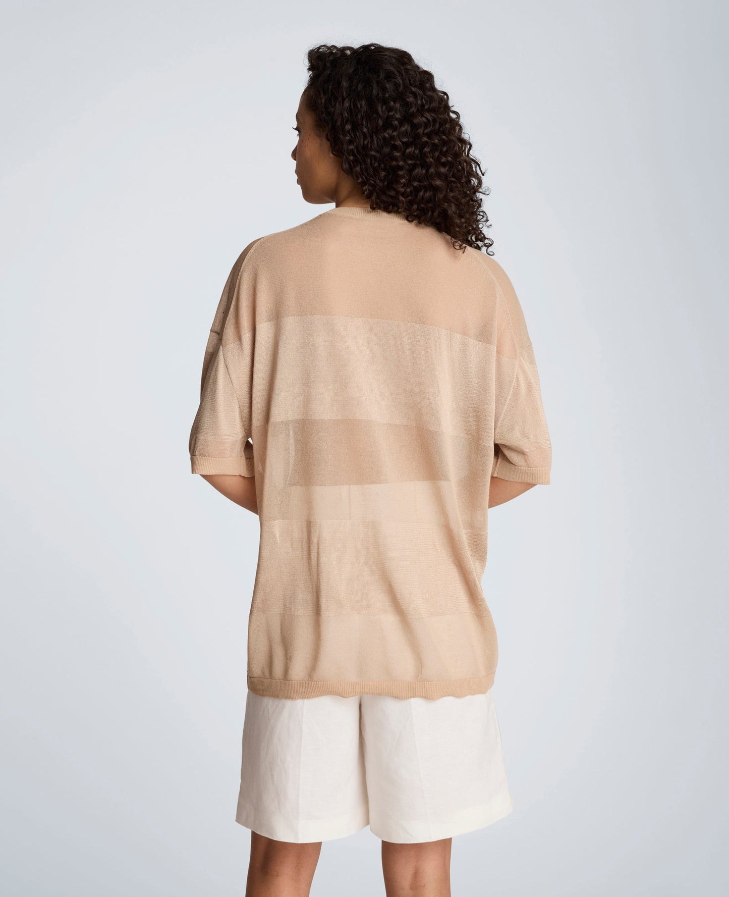 Shiny Semi Sheer Stripe Crew Neck