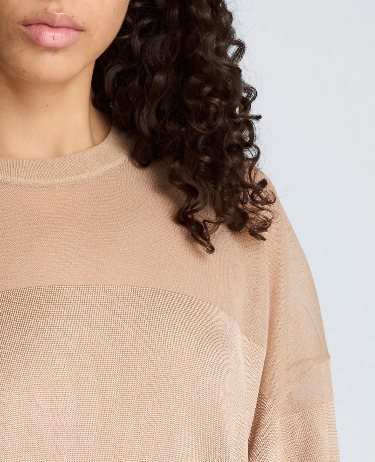 Shiny Semi Sheer Stripe Crew Neck