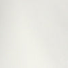 Fly Front High Rise Wide Leg Sheer Short