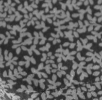Chill Flowers Sheet Set