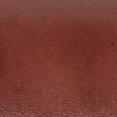 Willy Leather Sandal