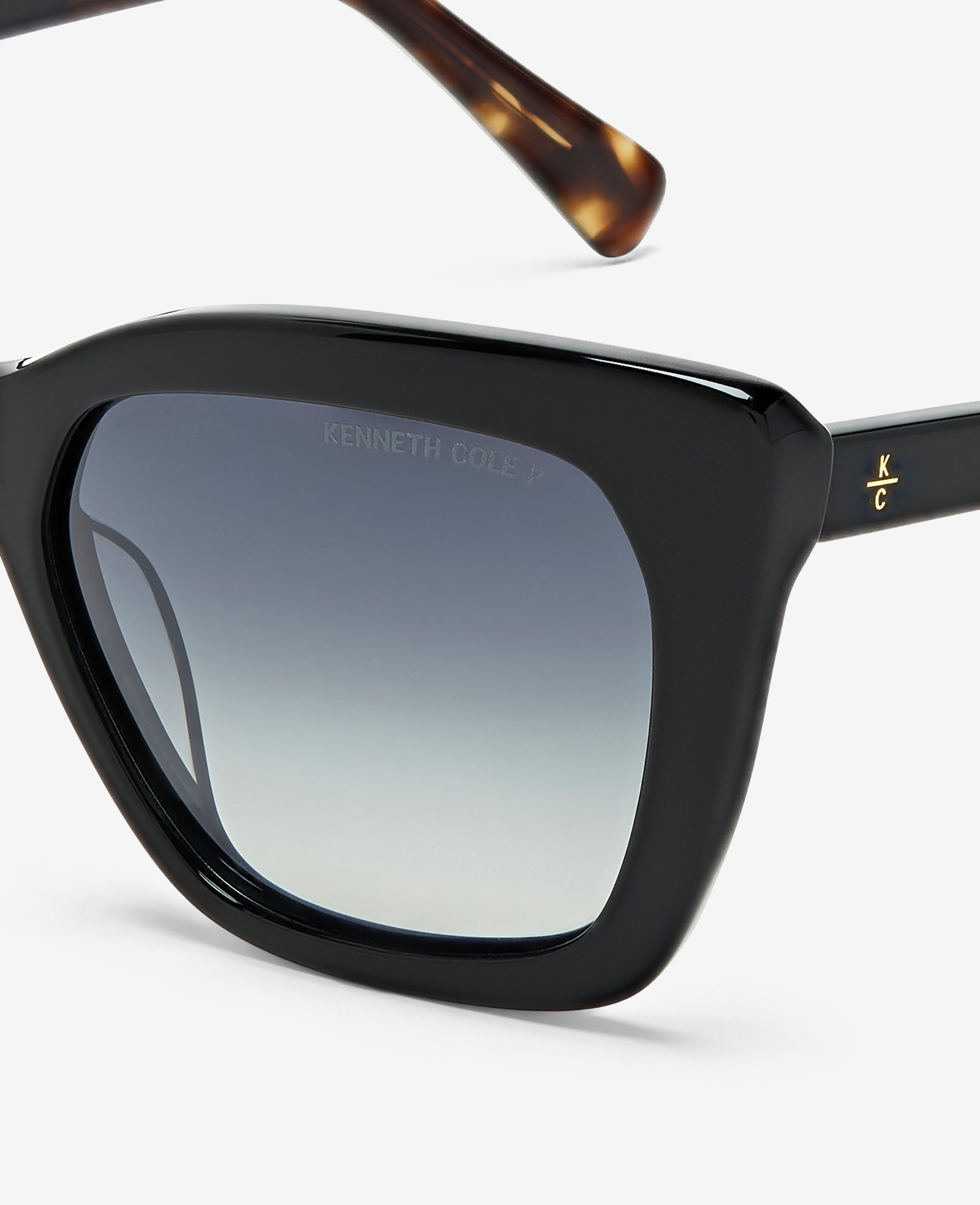 Cat Eye Acetate Sunglasses