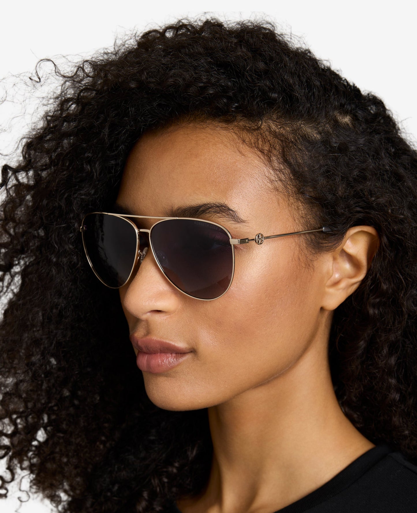 Pilot Titanium Aviator Sunglasses