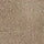 Taupe Suede Swatch